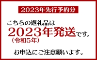 読谷村マンゴー(約1.5Kg)