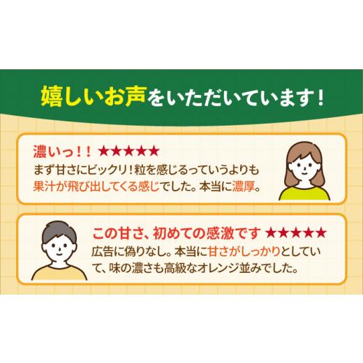 ふるさと納税 佐賀県 江北町 タッチの甘熟「今村温州みかん」5kg[HCE002]