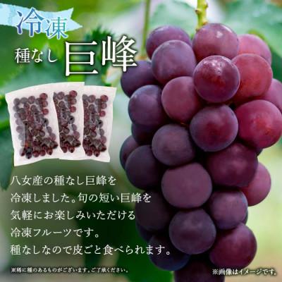 ふるさと納税 八女市  かの蜂の冷凍フルーツ 種なし巨峰 1.5kg(500g×3袋)