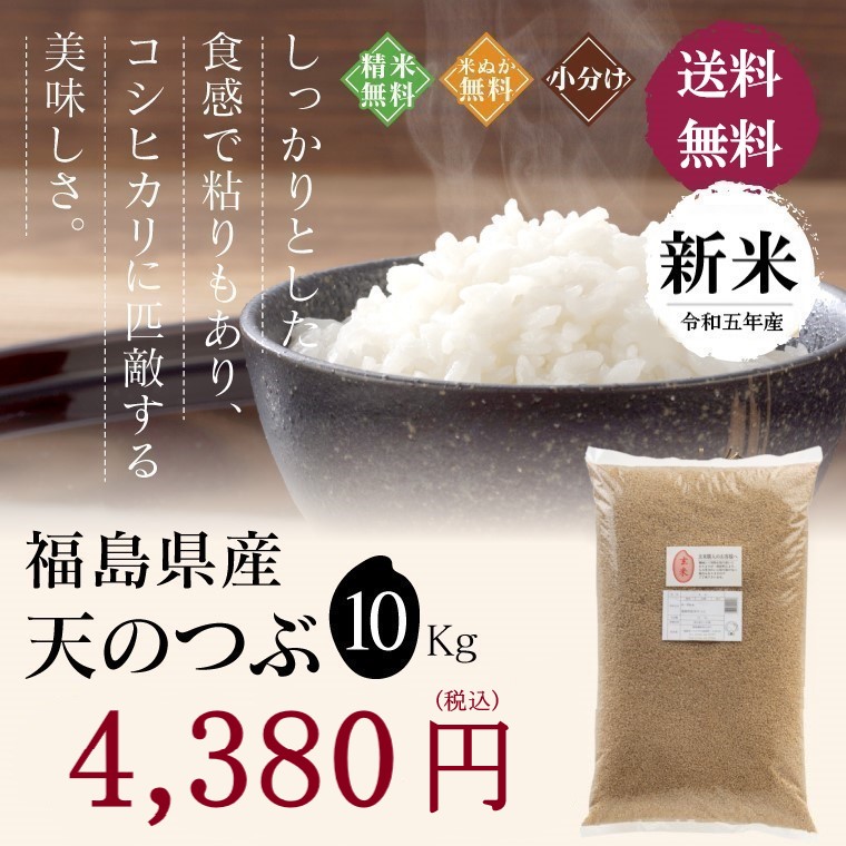 新米 令和５年産 福島県産 天のつぶ 10kg 米　お米