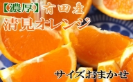 有田産清見オレンジ約10kg（サイズおまかせ・秀品）★2024年2月上旬頃より順次発送