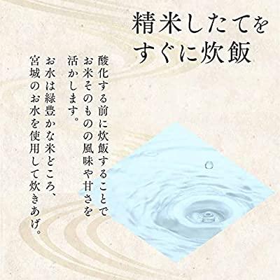 アイリスオーヤマ パックご飯 国産米 100% 低温製法米 非常食 米 レトルト 180g×40個