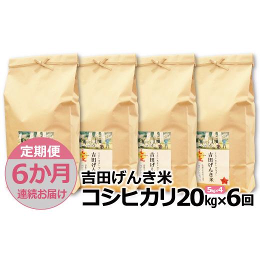 ふるさと納税 島根県 雲南市 「吉田げんき米」コシヒカリ20kg（5kg×4）【島根県産 雲南市産 ブランド米 米 お米 白米 コメ こめ お…