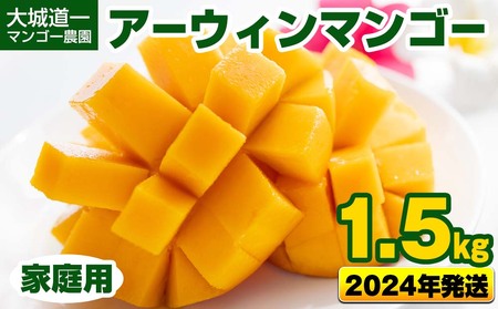 大城道一マンゴー農園のアーウィンマンゴー1.5kg（家庭用）