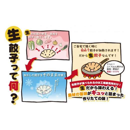 ふるさと納税 大阪府 大東市 大阪ふくちぁん餃子 冷凍生餃子 72個 ［36個入×2セット］