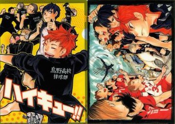 鳥野高中排球部/鳥野高中&音駒高中A4文件夾排球少年！跳躍慶典2013