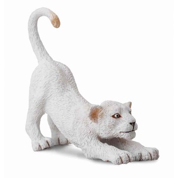 動物模型【 COLLECTA 】幼白獅(伸腰)