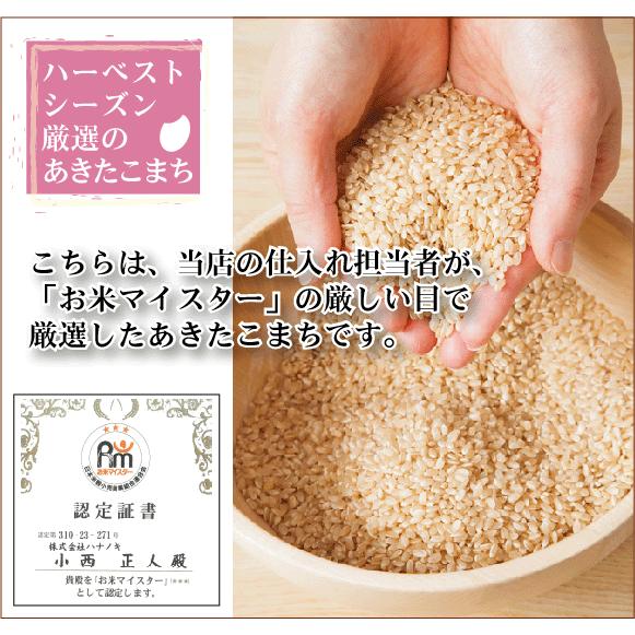 特価 ポイント3倍 新米 令和5年産 無洗米 5kg×2 あきたこまち 10kg 山形県産 お米 送料無料（SL）