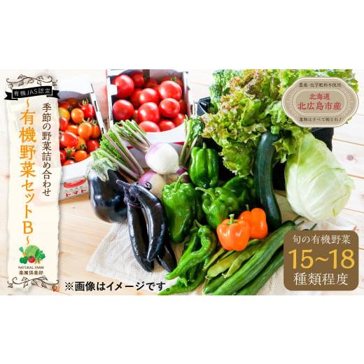 ふるさと納税 北海道 北広島市 季節の野菜 詰め合わせ 15種類〜18種類程度 〜有機野菜セットB〜 北海道北広島市