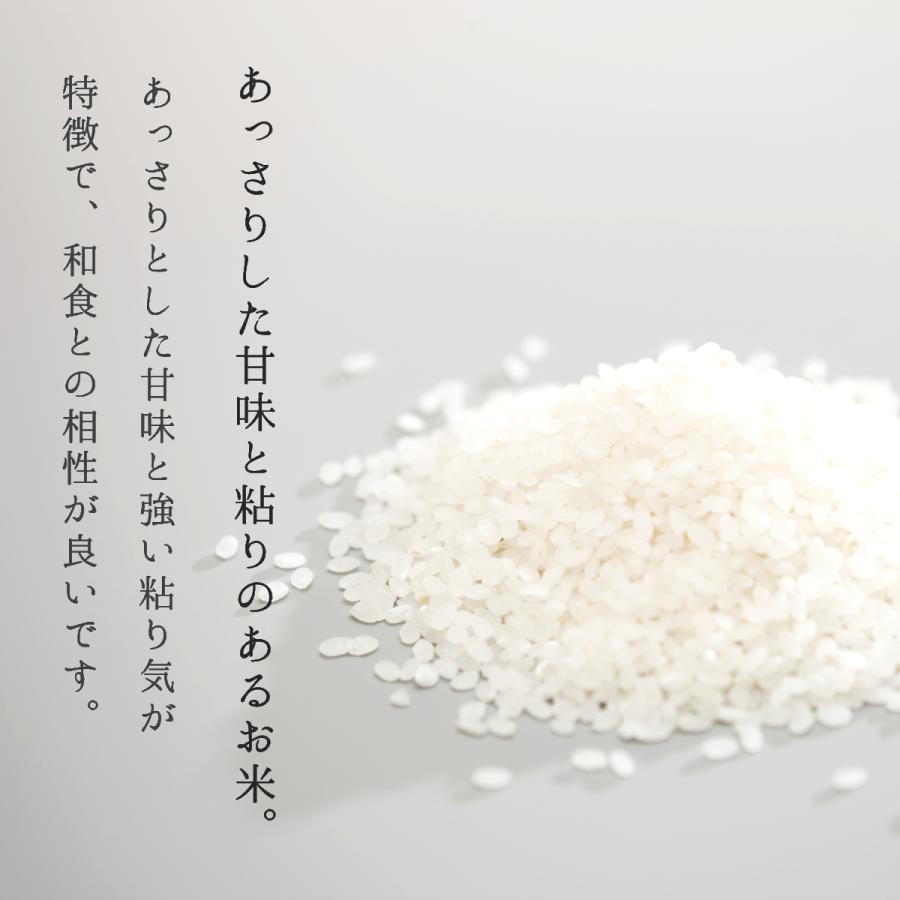 米 10kg あきたこまち お米 令和5年 新米 白米 玄米 山形県産 送料無料 5kg×2袋