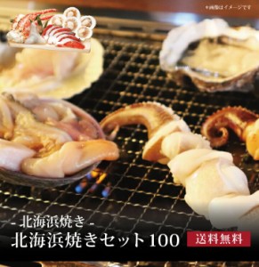 北海浜焼きセット100 ]お取り寄せ 送料無料 内祝い 出産内祝い 新築内祝い 快気祝い ギフト 贈り物