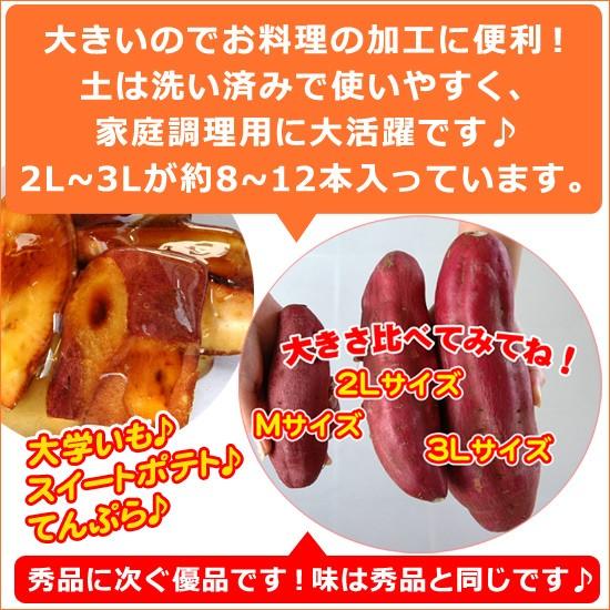 さつまいも ふぞろいのなると金時 2L〜3Lの大きいサイズ 5kg箱入り 徳島県鳴門市大津町産 送料無料