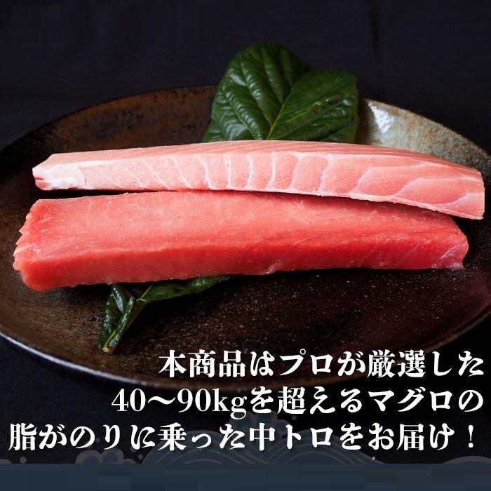 無添加　大トロ 中トロ　食べ比べ セット　計1．2kg（600gずつ）極上 お刺身 トロ　 メバチ マグロ まぐろ 天然 国産