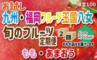 九州・福岡フルーツ王国八女　お試し旬のフルーツ定期便 E｜＜配送不可：北海道・沖縄・離島＞