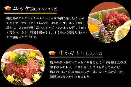 厳選プレミアムスライス馬刺しセット 1kg 千興ファーム 馬肉 冷凍 《60日以内に順次出荷（土日祝除く）》 新鮮 さばきたて 真空パック SQF ミシュラン 生食用 肉 菅乃屋 熊本県御船町 スライス 特産品  贈答用 ギフト