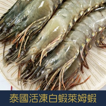 【就是愛海鮮】泰國活凍白蝦 CHINHU萊姆蝦(21/25)如缺貨出同規格不同包裝  [量大可配合批發/團購]