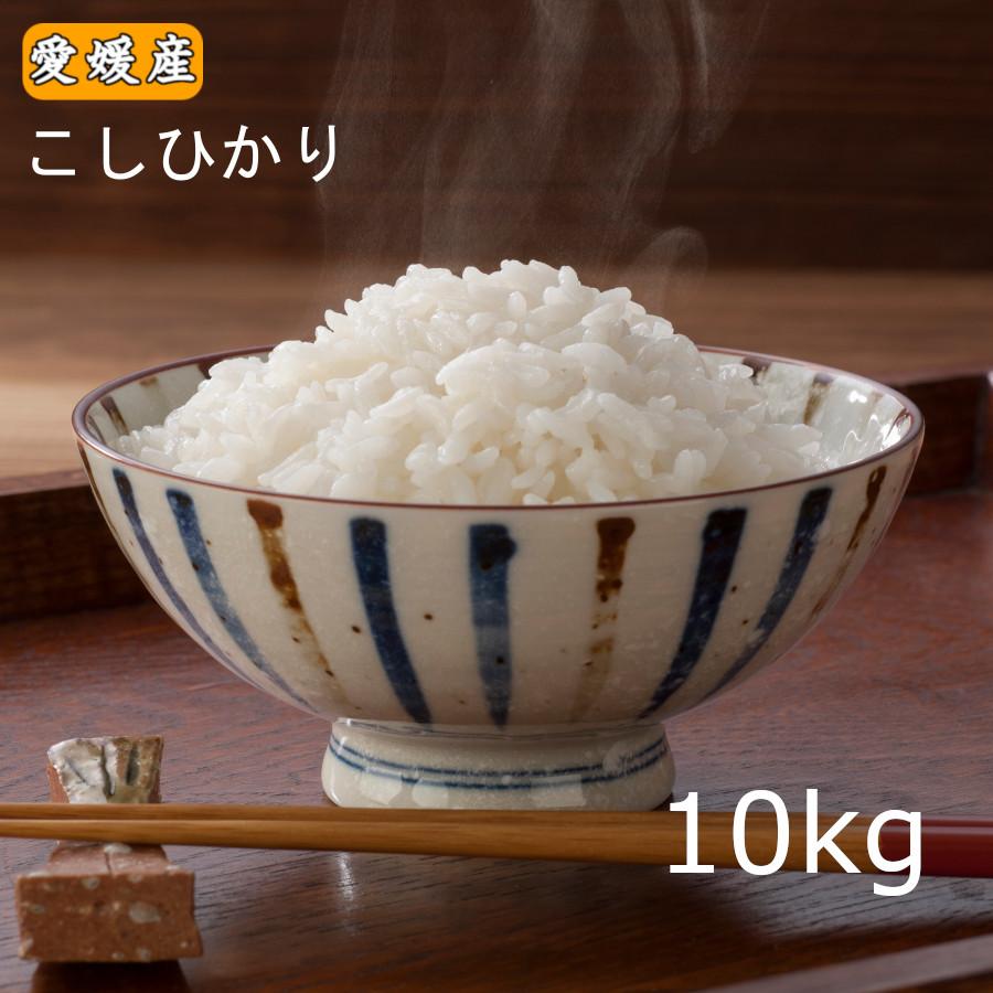 米 10kg 送料無料 新米「愛媛県産 コシヒカリ 10kg」こしひかり 10キロ 四国　（5kg小分け不可）