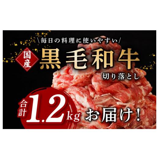 ふるさと納税 大阪府 泉佐野市 国産 黒毛和牛 切り落とし 合計1.2kg 小分け 400g×3パック 訳あり 部位不揃い