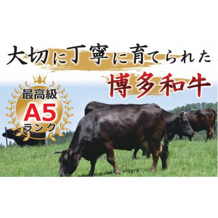 ふるさと納税 博多和牛 牛肉 サーロイン ステーキ 500g（250g×2枚）＜株式会社MEAT PLUS＞那珂川市 定期便 牛肉 肉 黒毛.. 福岡県那珂川市