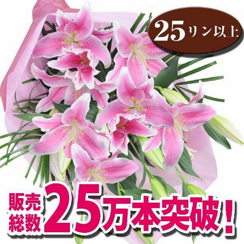 お盆花 新盆花 お盆 お供え 花 花束 誕生日 プレゼント ゆり 花束 百合の花 記念日 プレゼント 花束 お供え 花 ピンク ユリの花束 大輪系 25輪以上 ユリ 百合 通販 Lineポイント最大get Lineショッピング