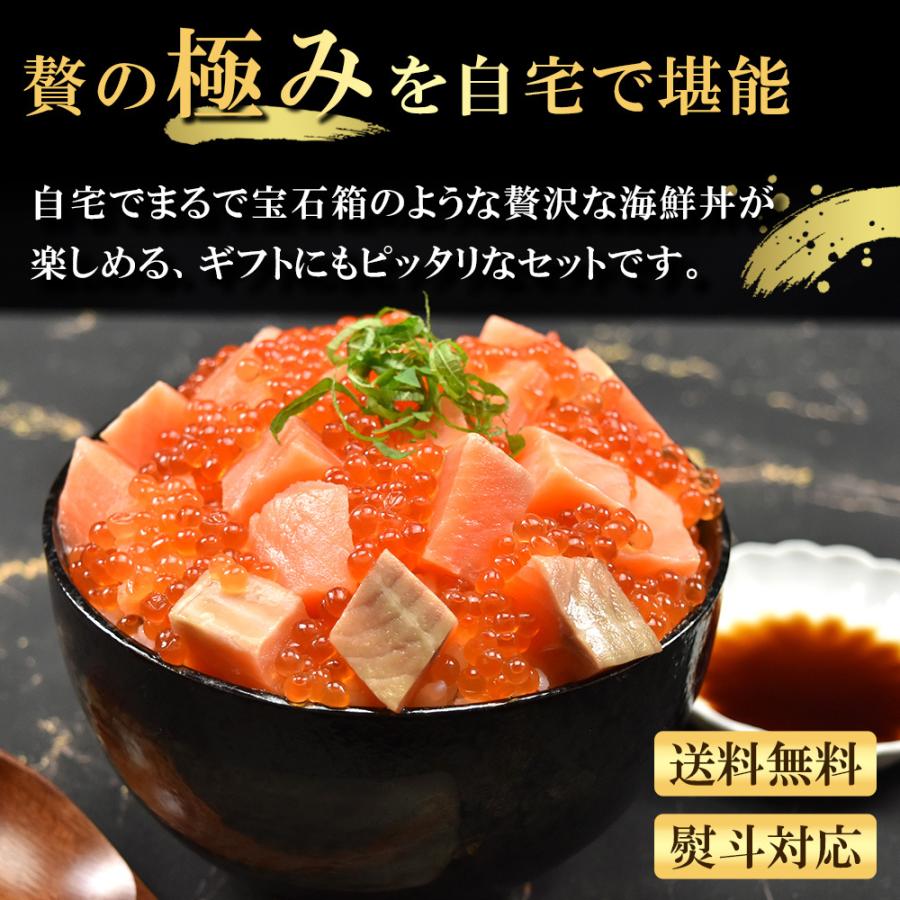 海鮮丼 2種セット イクラ サーモン お歳暮 御歳暮 2023 プレゼント お刺身用 ギフト 手巻き寿司 お祝い ギフト