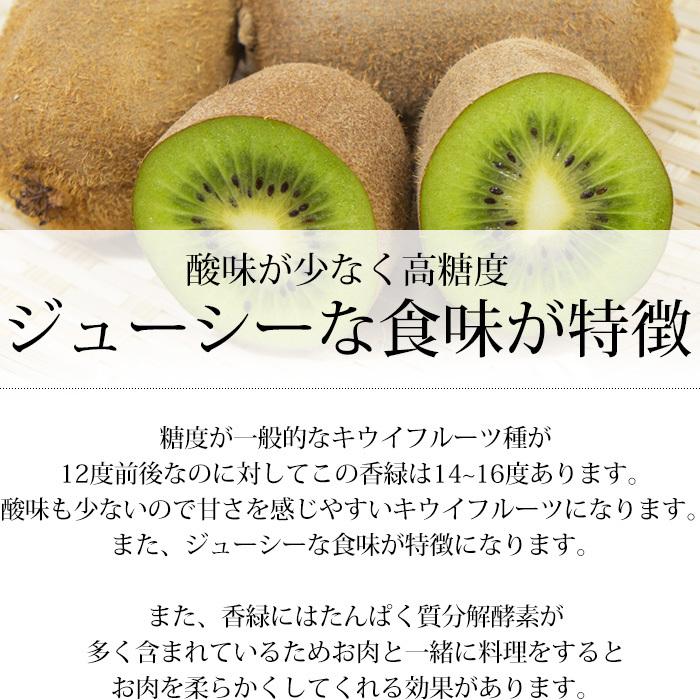 キウイ 香川県産 高糖度国産キウイフルーツ 香緑 4L〜6Lサイズ 7〜9玉 化粧箱