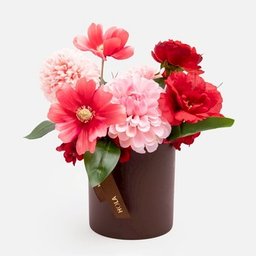 菓莉花藝節慶盆花 深紅 大