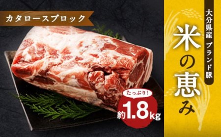 大分県産ブランド豚「米の恵み」カタロースブロック 1.8kg (1.8kg×1) 豚肉 肩ロース