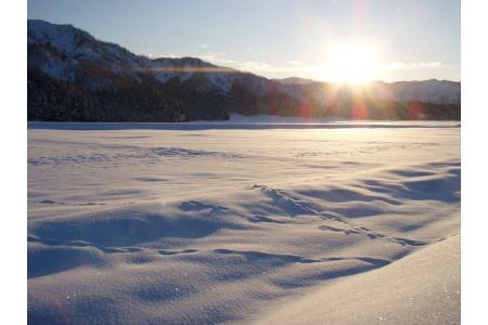 雪室貯蔵・塩沢産 従来コシヒカリ