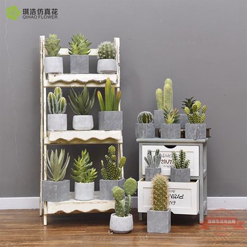 仿真多肉小植物盆栽家居裝飾綠植假仙人掌仿真小盆栽擺件