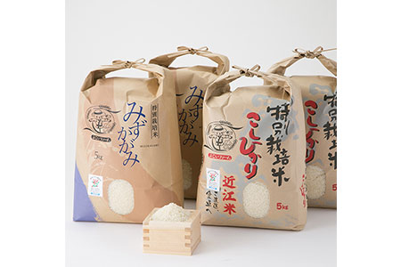 よこいファーム 特別栽培米食べ比べセットＢ ［高島屋選定品］