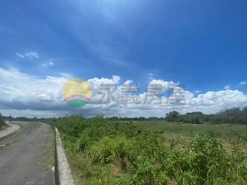 白河中興段白水溪2分農地｜台南市白河區中興段