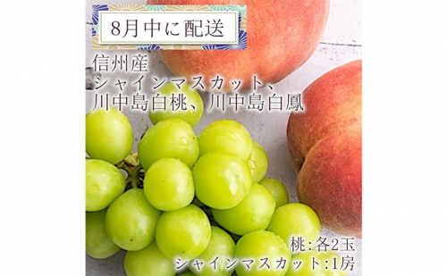 8月中発送　フルーツ盛り合わせ（シャインマスカット1房、川中島白桃2玉、川中島白鳳2玉）