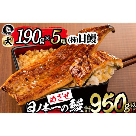 ふるさと納税 日ノ本一の鰻の蒲焼き＜大＞5尾セット(計950g以上) d2-004 鹿児島県志布志市