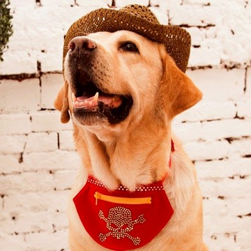 【GFSD】水鑽精品-寵物領巾收納袋