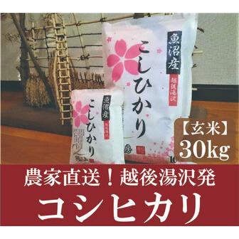 ふるさと納税 令和5年産 農家直送！越後湯沢発 玄米30kg さくらファームの 新潟県湯沢町