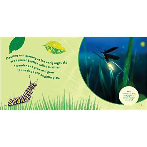 The Backyard Bug Book for Kids: Storybook, Insect Facts, and Activities (Le