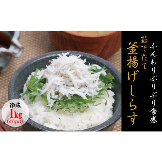 ふるさと納税 和歌山県 新宮市 茹でたて釜揚げしらす　1kg(250g×4パック)無添加・無着色 しらす シラス 釜揚げ 小分け 冷蔵