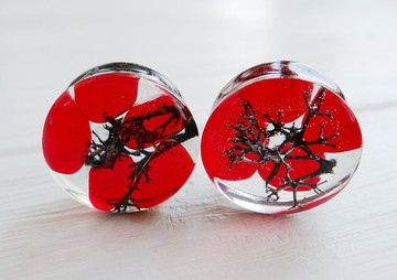 彩色玻璃塞耳環 00g Vampire Nosferatu 萬聖節飾品哥特