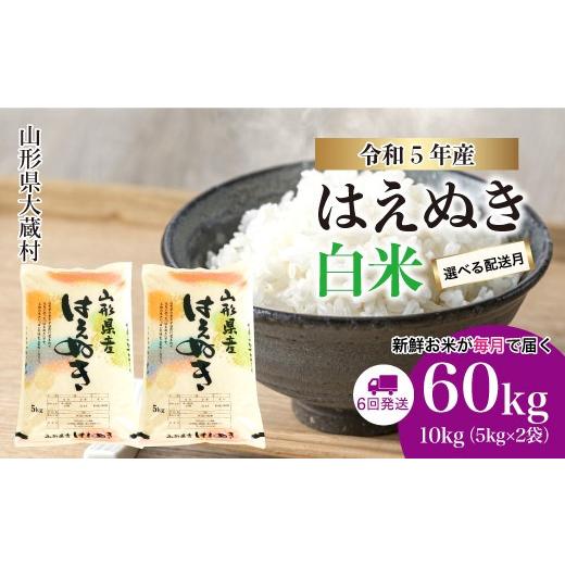 ふるさと納税 山形県 大蔵村 令和5年産 大蔵村 はえぬき 定期便 60kg