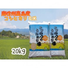 2023年産新米 コシヒカリ玄米20kg(10kg×2袋)