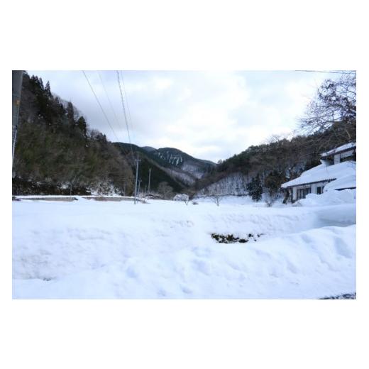 ふるさと納税 岡山県 新見市 備中千屋もち(白もち900g×3)