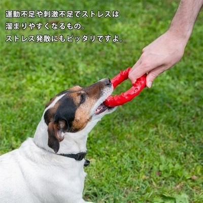 犬 おもちゃ ドッグデンタルトイ スマイル L トイ 玩具 デンタル