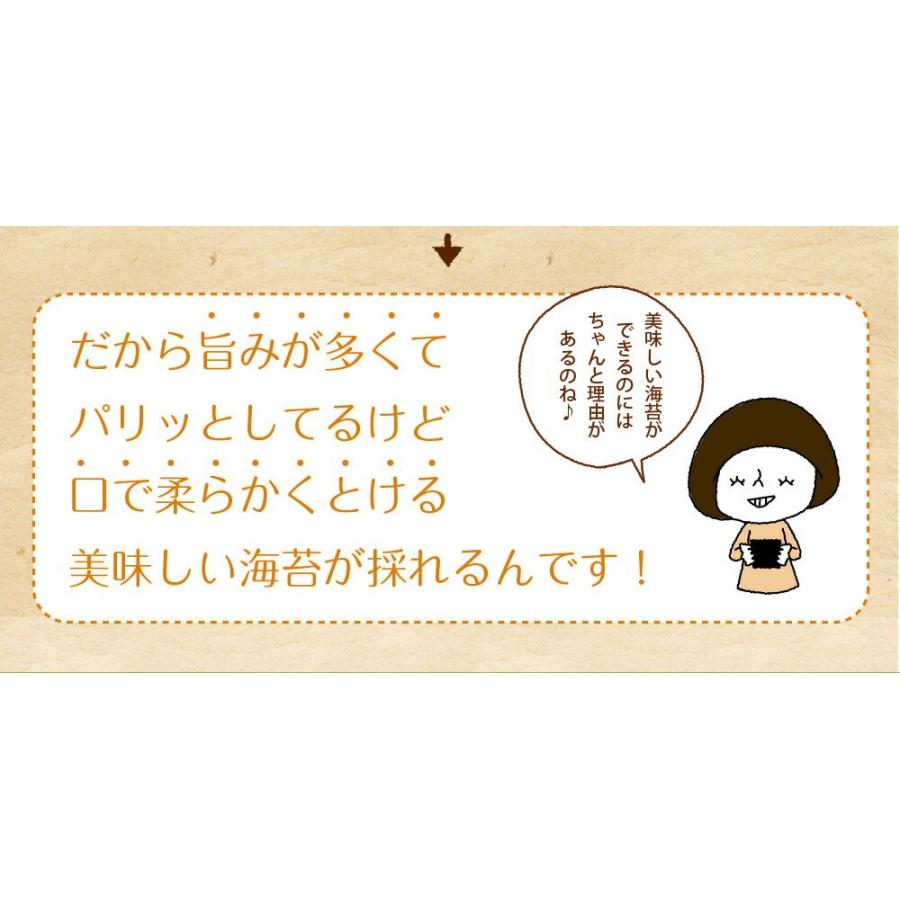 海苔 訳あり プレミアム有明産高級焼海苔 20枚 メール便 送料無料 ポイント消化 おにぎらず 焼きのり おにぎり 一番摘み 初摘み 葉酸 タウリン お取り寄せグルメ