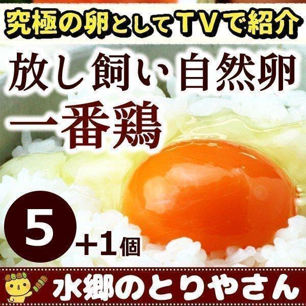 鶏卵 放し飼い自然卵 一番鶏 6個詰 （5個＋破損保障分1個） 安心卵   冷蔵 限定配送