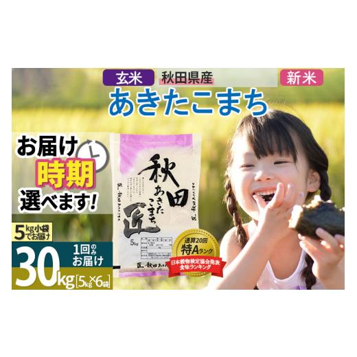 ふるさと納税 秋田県 仙北市 ＜新米＞ 秋田県産 あきたこまち 30kg (5kg×6袋) 令和5年産 時期選べる 30キロ お米 発送時期が選べる