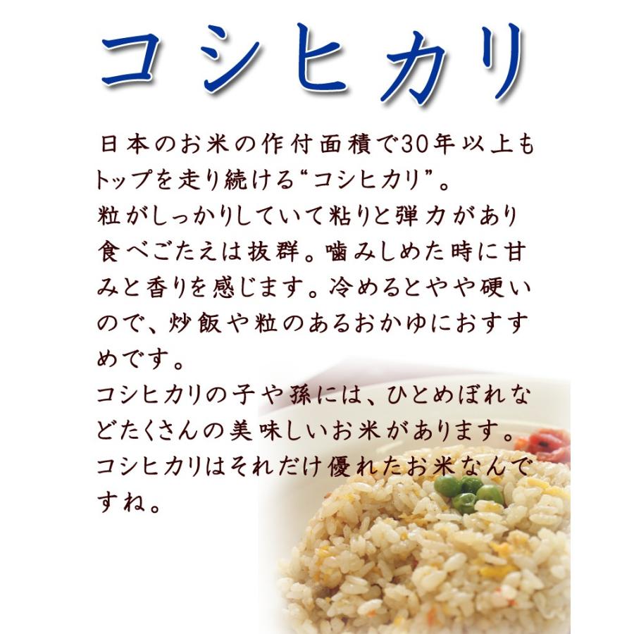 米 お米 令和4年産　コシヒカリ 5kg 白米 (農薬・化学肥料節減) 宮城 登米 米 特別栽培米 認証