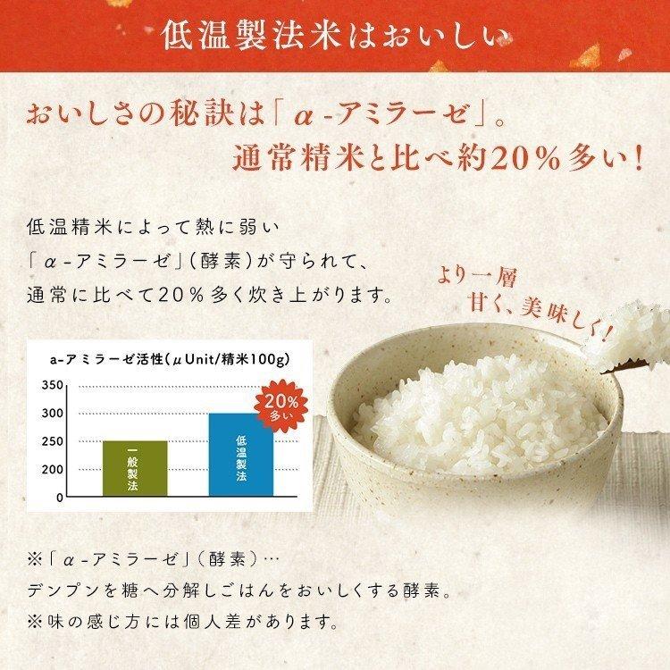 新米 米 10kg 送料無料 令和5年産 千葉県産 こしひかり 低温製法米 精米 お米 10キロ コシヒカリ ご飯 コメ アイリスフーズ