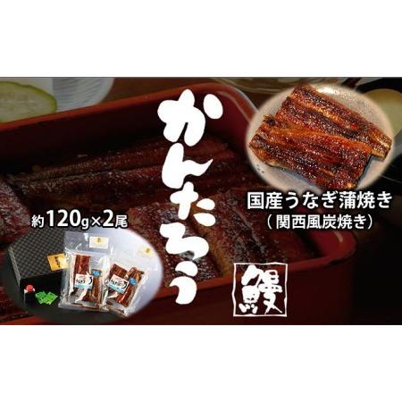 ふるさと納税 国産うなぎ蒲焼き（ 関西風炭焼き）約120g×2尾 静岡県浜松市