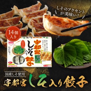 宇都宮餃子 4箱セット(肉2箱 野菜１箱 しそ１箱)